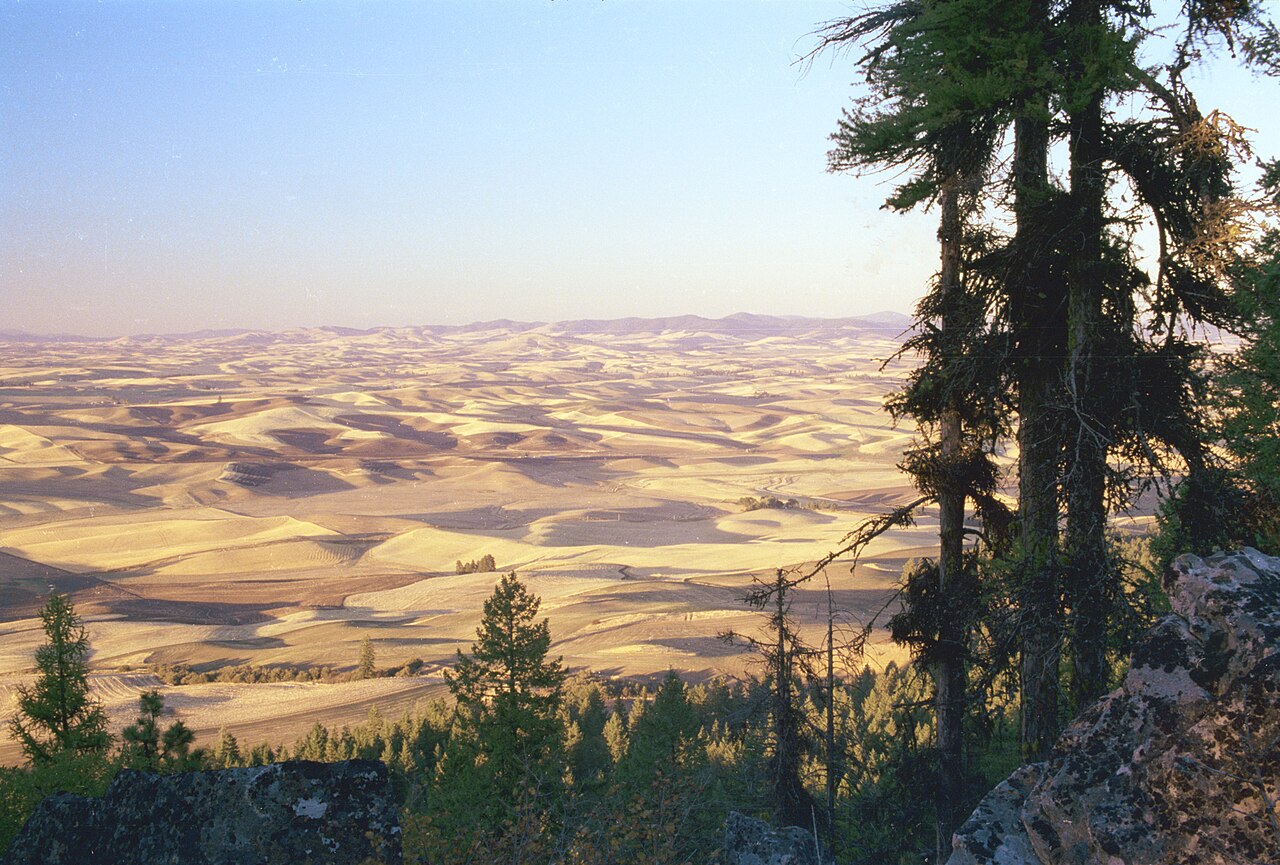 Palouse fields, Washington from Kamiak Butte